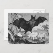 Vampire Bat Postkarte (Vorne/Hinten)