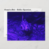 Vampire Bat Postkarte (Vorne/Hinten)
