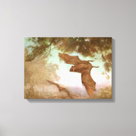 Vampire Bats von CE Swan, Vintage Wildtiere Leinwanddruck