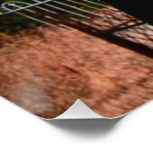 Vampire besucht den Friedhof Poster (Ecke)