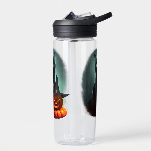 Vampire Cat and Wizard Pumpkin Halloween Surreal Trinkflasche (Links)