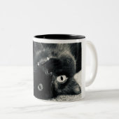 Vampire Cat Zweifarbige Tasse (VorderseiteRechts)