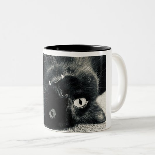 Vampire Cat Zweifarbige Tasse (VorderseiteRechts)