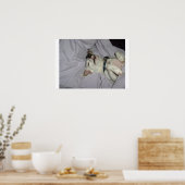 Vampire Dog Poster (Küche)