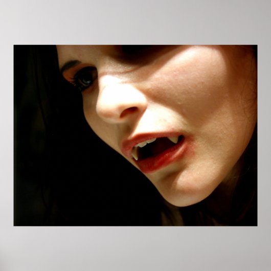 Vampire Poster (Vorne)