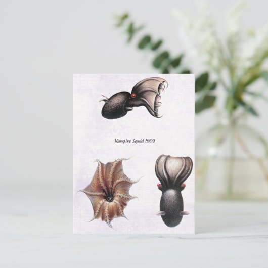 Vampire Tintenfisch Postcard Postkarte (Stehend Vorderseite)