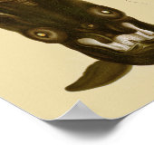 Vampire Tintenfisch Schwarzes Meer Kunstdrucken Poster (Ecke)