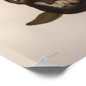 Vampire Tintenfisch Schwarzes Meer Kunstdrucken Poster (Ecke)