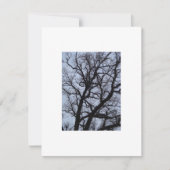 Vampire Tree (Vorderseite)