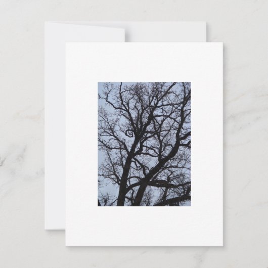 Vampire Tree (Vorderseite)