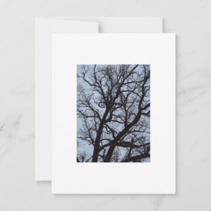Vampire Tree