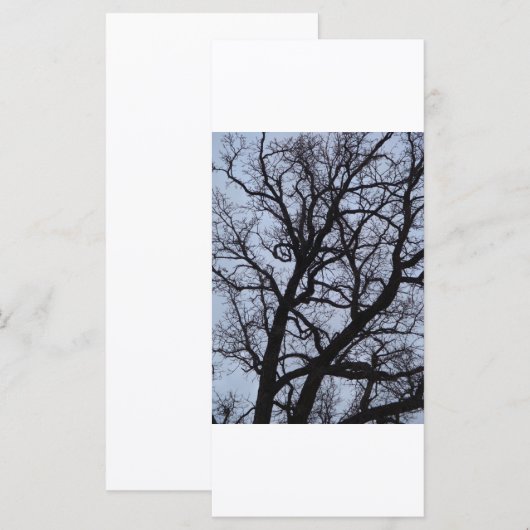 Vampire Tree (Vorne/Hinten)