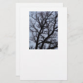 Vampire Tree Briefpapier (Vorne/Hinten)