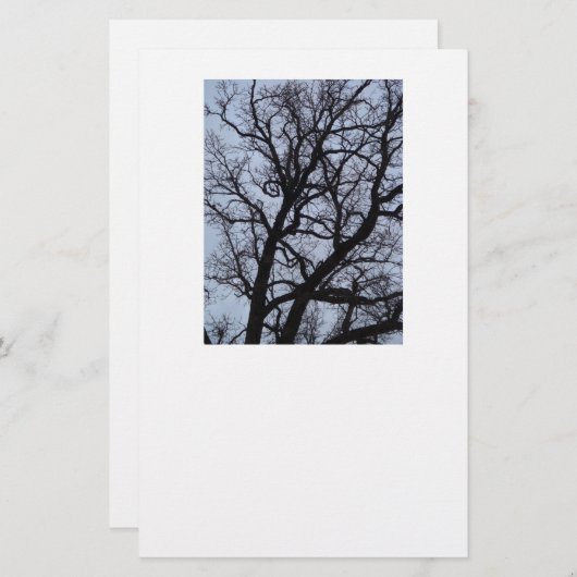 Vampire Tree Briefpapier (Vorne/Hinten)