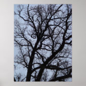 Vampire Tree Poster (Vorne)