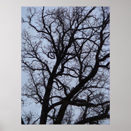 Vampire Tree Poster (Vorne)