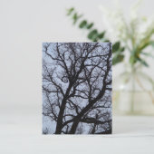 Vampire Tree Postkarte (Stehend Vorderseite)