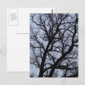 Vampire Tree Postkarte (Vorne/Hinten)