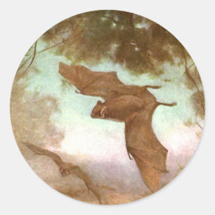 Vampirefledermäuse von CE Swan, Vintage Wild Anima Runder Aufkleber