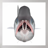 Vampirfisch - Fischkopf Poster (Vorne)