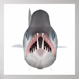 Vampirfisch - Fischkopf Poster