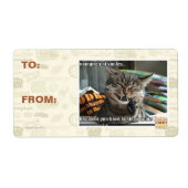 Vampirkatze lächelt (Vorne)