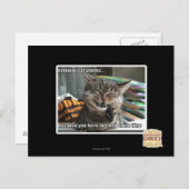 Vampirkatze lächelt postkarte (Vorne/Hinten)