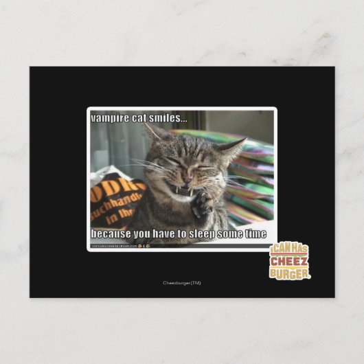 Vampirkatze lächelt postkarte (Vorderseite)