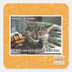 Vampirkatze lächelt quadratischer aufkleber