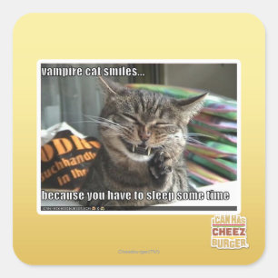 Vampirkatze lächelt quadratischer aufkleber