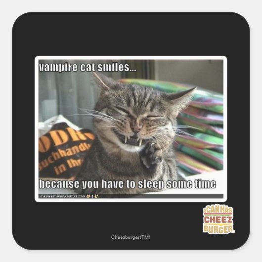 Vampirkatze lächelt quadratischer aufkleber (Vorderseite)