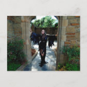 Vamplified Dead Hollywood Postcard Postkarte (Vorderseite)