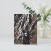 Vamplified Roots Postcard Postkarte (Stehend Vorderseite)