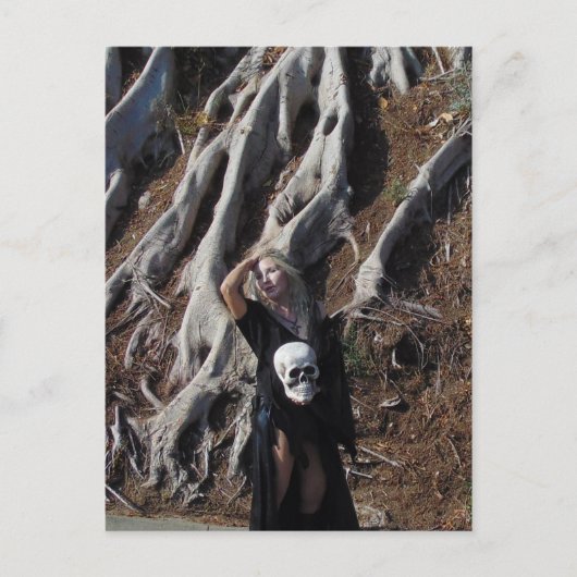 Vamplified Roots Postcard Postkarte (Vorderseite)