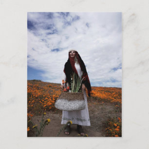 Vamplified Sinti und Roma Trail Postkarte