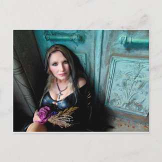 Vamplifizierte Veilkarte Postkarte