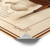 Vampurr: Cat Vampire Creature Poster (Ecke)