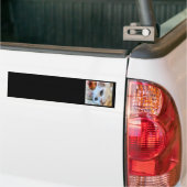 Van Cat mit Blue Eyes Pet Portrait Autoaufkleber (Auf Lkw)