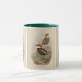 Van-der-Boschs Pitta von John Gould Tasse (Zentrum)
