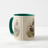 Van-der-Boschs Pitta von John Gould Tasse (Vorderseite Links)