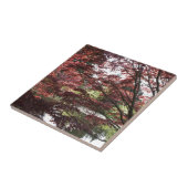 Van Dusen Garden, Japanischer Ahorn Fliese (Seite)