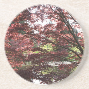 Van Dusen Garten, Japanischer Ahorn Sandstein Untersetzer