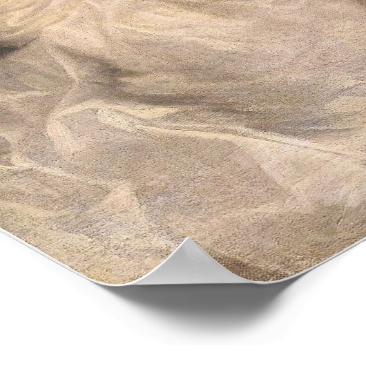 Van Dyck - Lady Digby auf ihrem Totenbett Poster (Ecke)