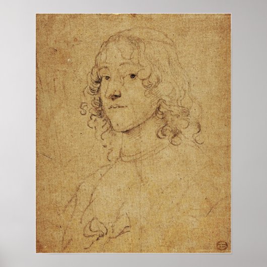 Van Dyck - Portrait-Studie Poster (Vorne)