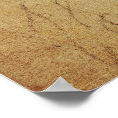 Van Dyck - Portrait-Studie Poster (Ecke)