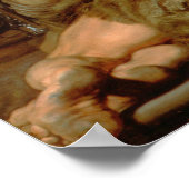 Van Dyck - Samson und Delilah Poster (Ecke)