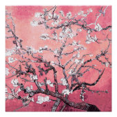 Van Gogh Almond Blossom pfirsich pink Poster (Vorderseite)
