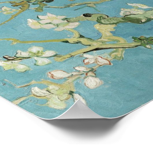 Van Gogh - Almond Blossom Poster (Ecke)