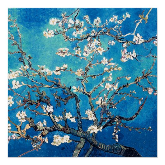 Van Gogh Almond Blossoms leuchtend türkis Poster (Vorderseite)