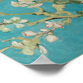Van Gogh Almond Blossoms Poster (Ecke)